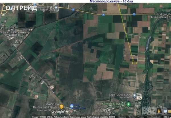 Нива в  с. ягодово