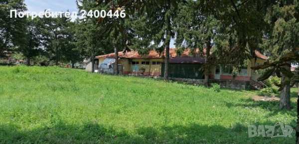 Хлебарство