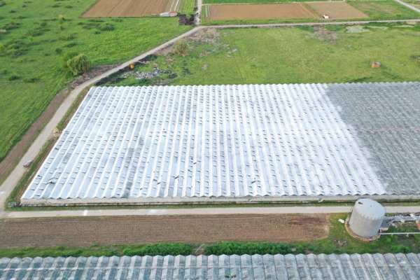 Дава под наем бизнес имот, гр. петрич, област благоевград