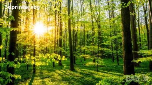 Купувам гора