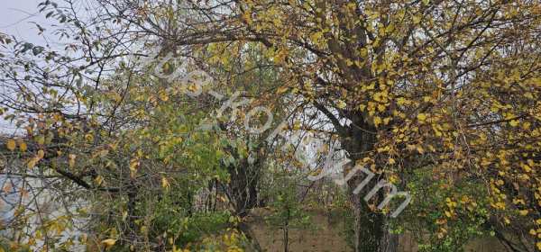 Парцел за жилищно застрояване с партида за ток, с. Ресен