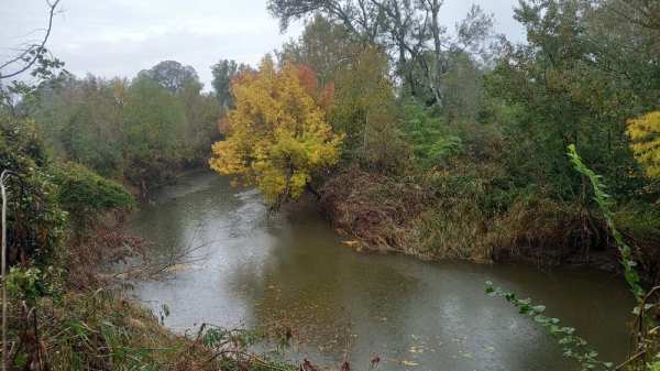 Парцел в Обзор, до река, земя подходяща за каравана,  бунгало