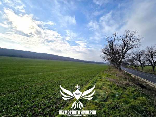 Продавам земя 4800кв.м. пътя от гр.Асеновград към с.Козаново