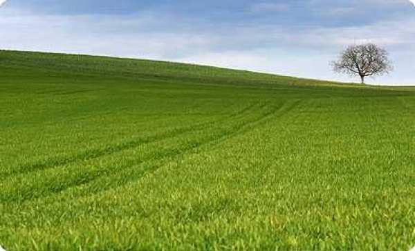 4дка земеделска земя 3та/кат на главен път Варна-Русе от собственик