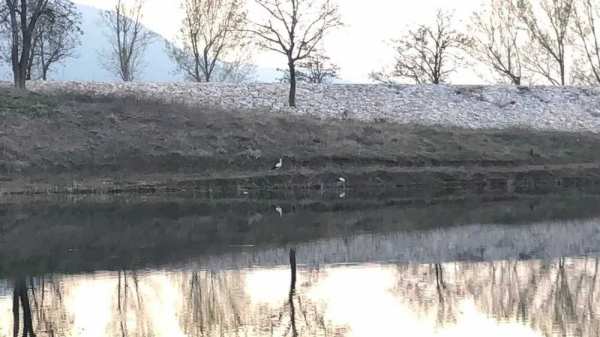 Имот на брега на язовир върбинка