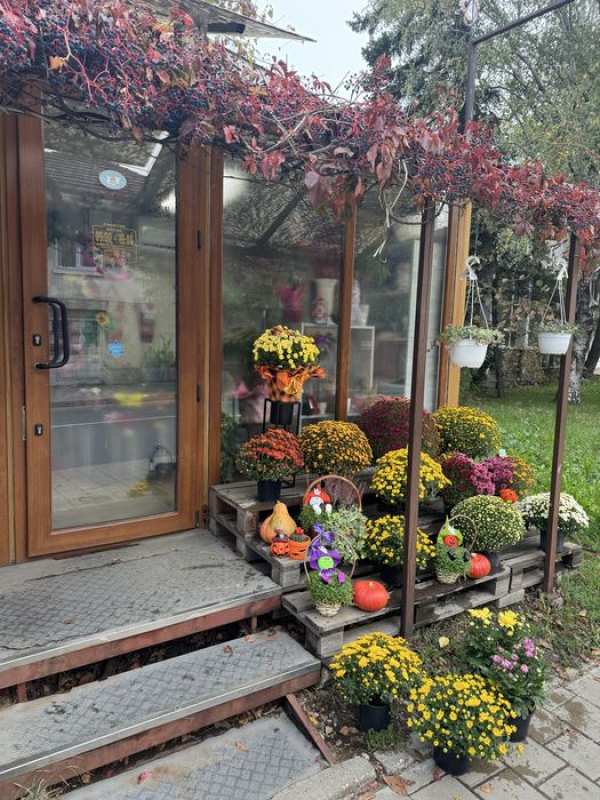 Цветарски магазин Топ локация