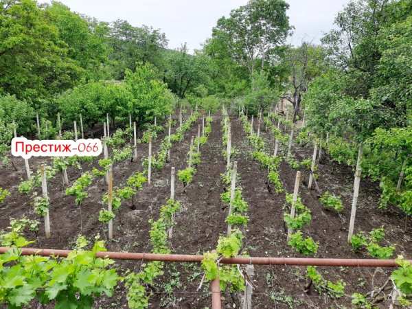 Продава вила, гр. шумен, м-т под манастира