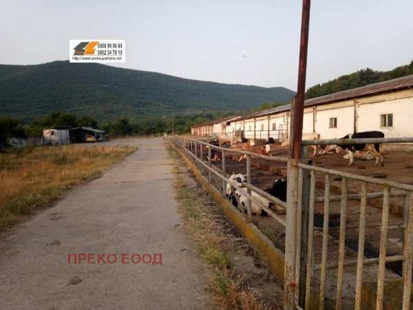 Продава бизнес имот, гр. криводол, област враца