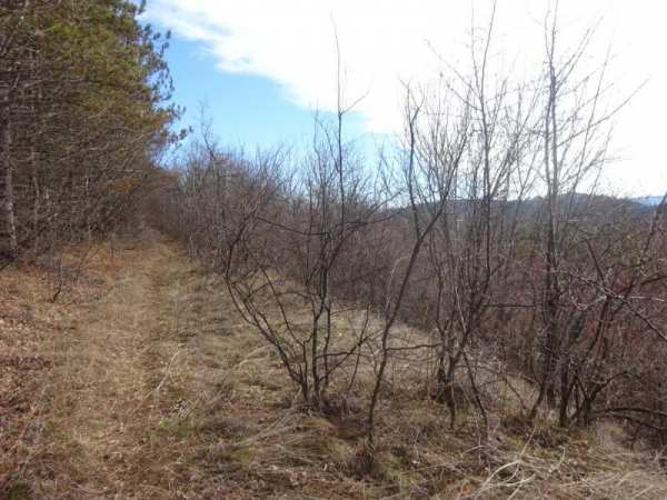 Продава парцел, гр. велико търново, бузлуджа