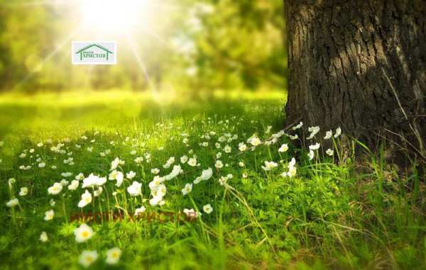 Продава парцел, гр. шумен, пазара