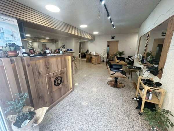 Дава под наем бизнес имот, гр. пловдив, център