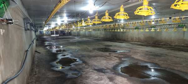 Продава пром. помещение, с. ушинци, област разград