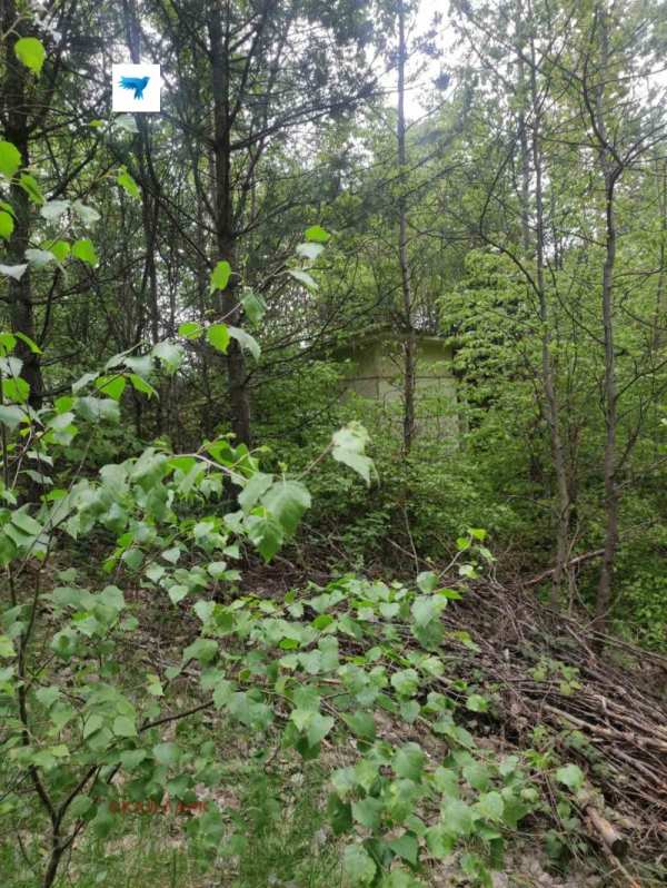 Продава бизнес имот, гр. батак, област пазарджик