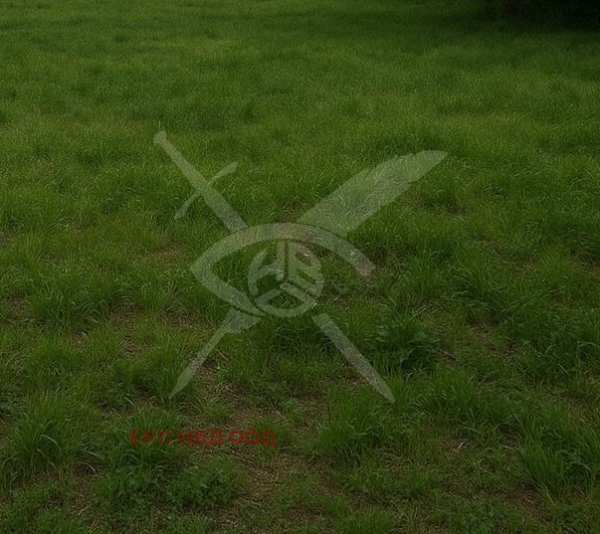 Продава парцел, гр. пловдив, прослав