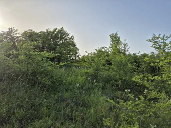 Продава парцел, гр. велико търново, бузлуджа