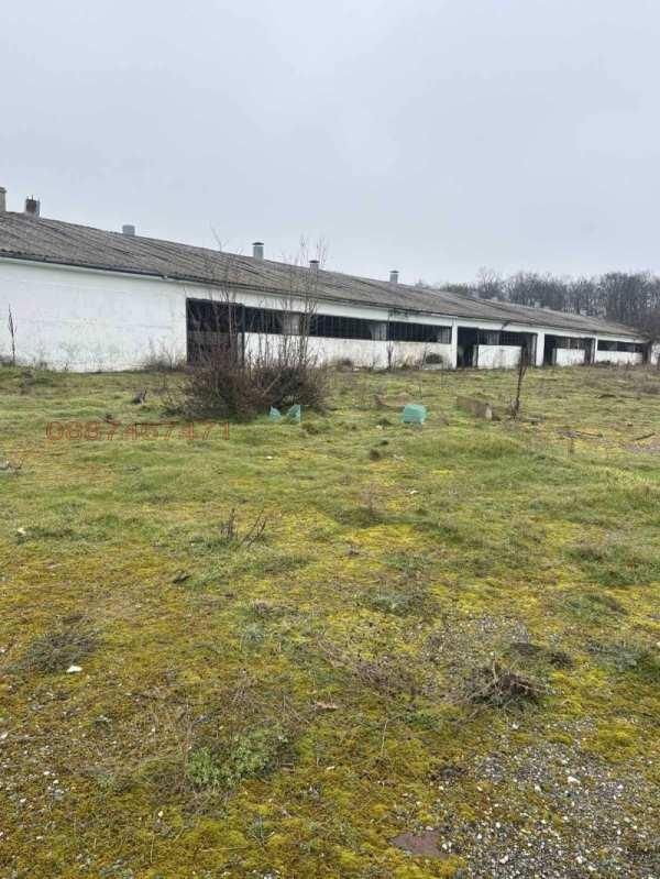 Продава бизнес имот, с. черна, област добрич