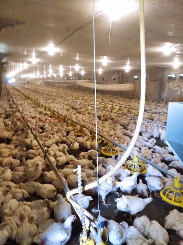 Продава бизнес имот, с. равна, област варна