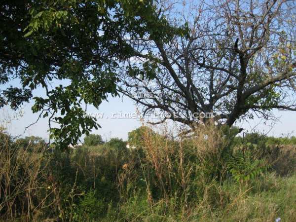 Продава парцел, гр. пловдив, индустриална зона - изток