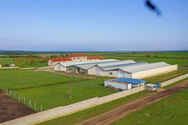 Продава бизнес имот, с. владимирово, област монтана