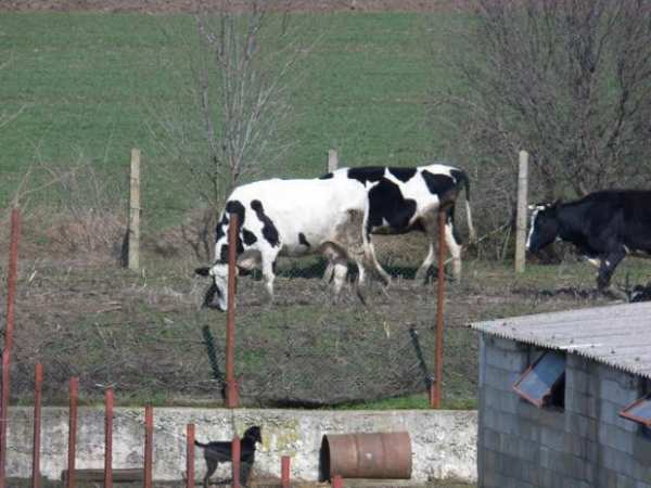 Продава пром. помещение, с. славеево, област добрич