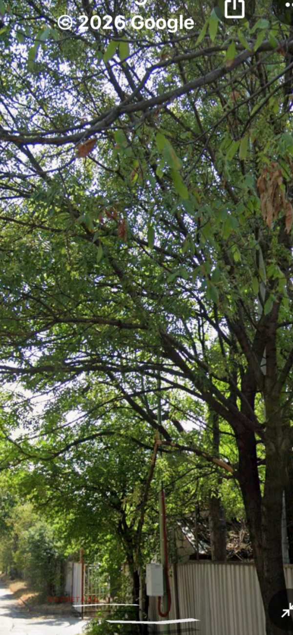 Дава под наем склад, гр. софия, сухата река